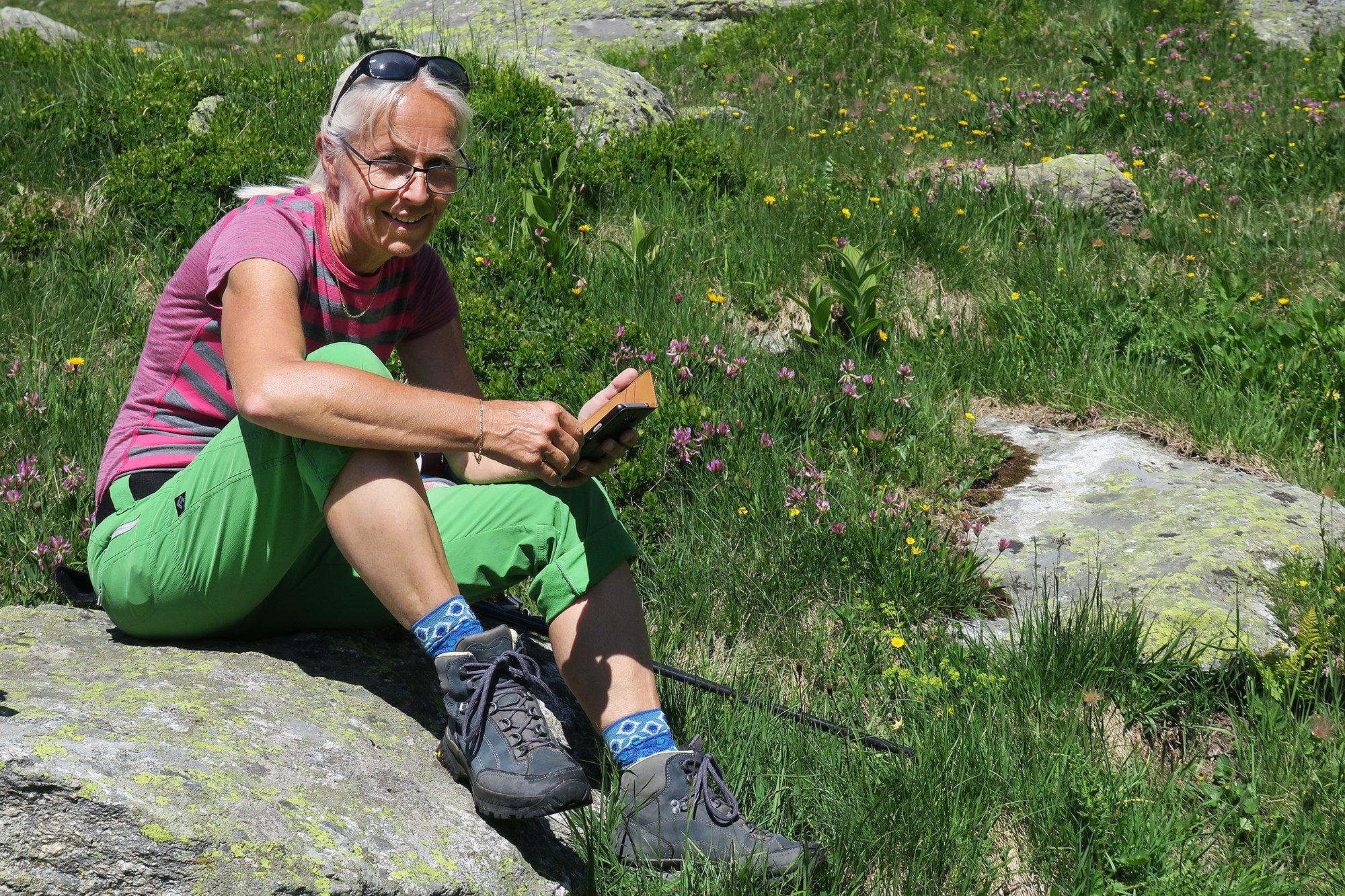 Floh_Grimsel_2018